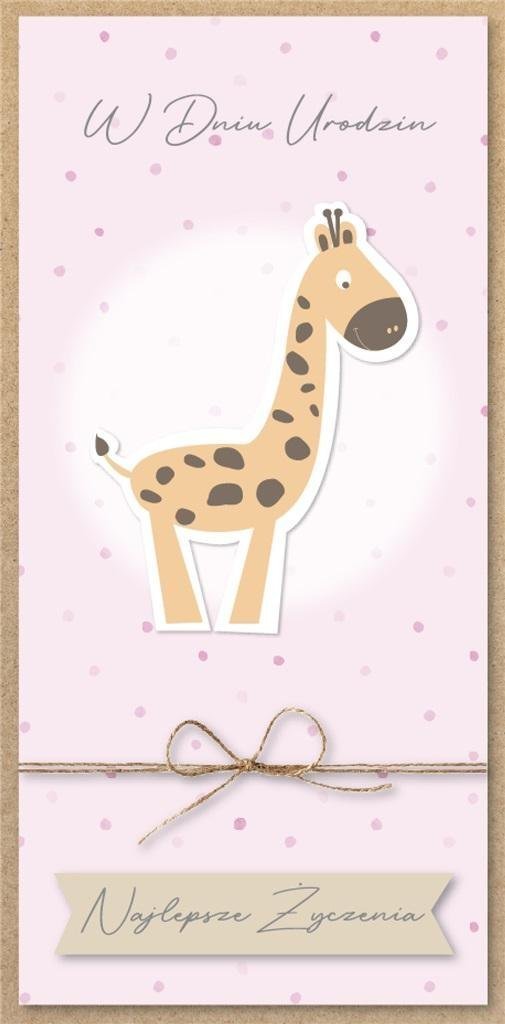 Armin Style Karnet Urodziny