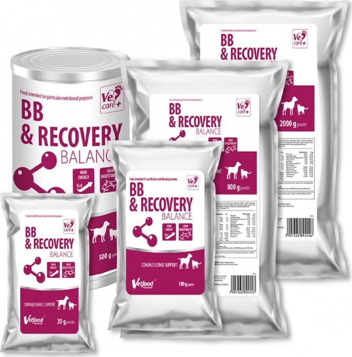 Vetfood BB & Recovery Balance Professional 500g