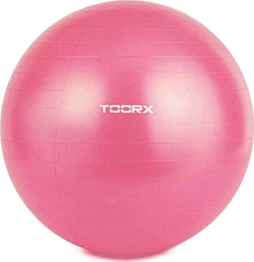 Toorx Gimnast. kamuolys 55cm TOORX AHF-069 su pompa