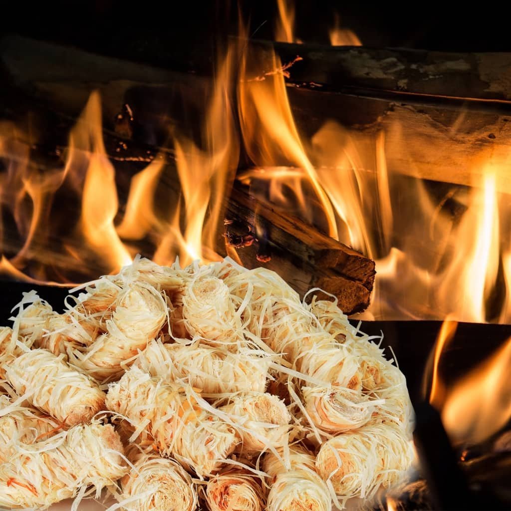 vidaXL vidaXL Podpałka BIO, 5 kg