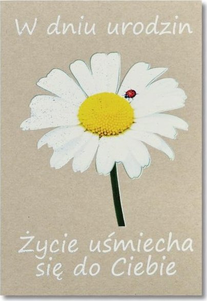 Trend KARNET B6 URODZINY EKO SILVER TS146