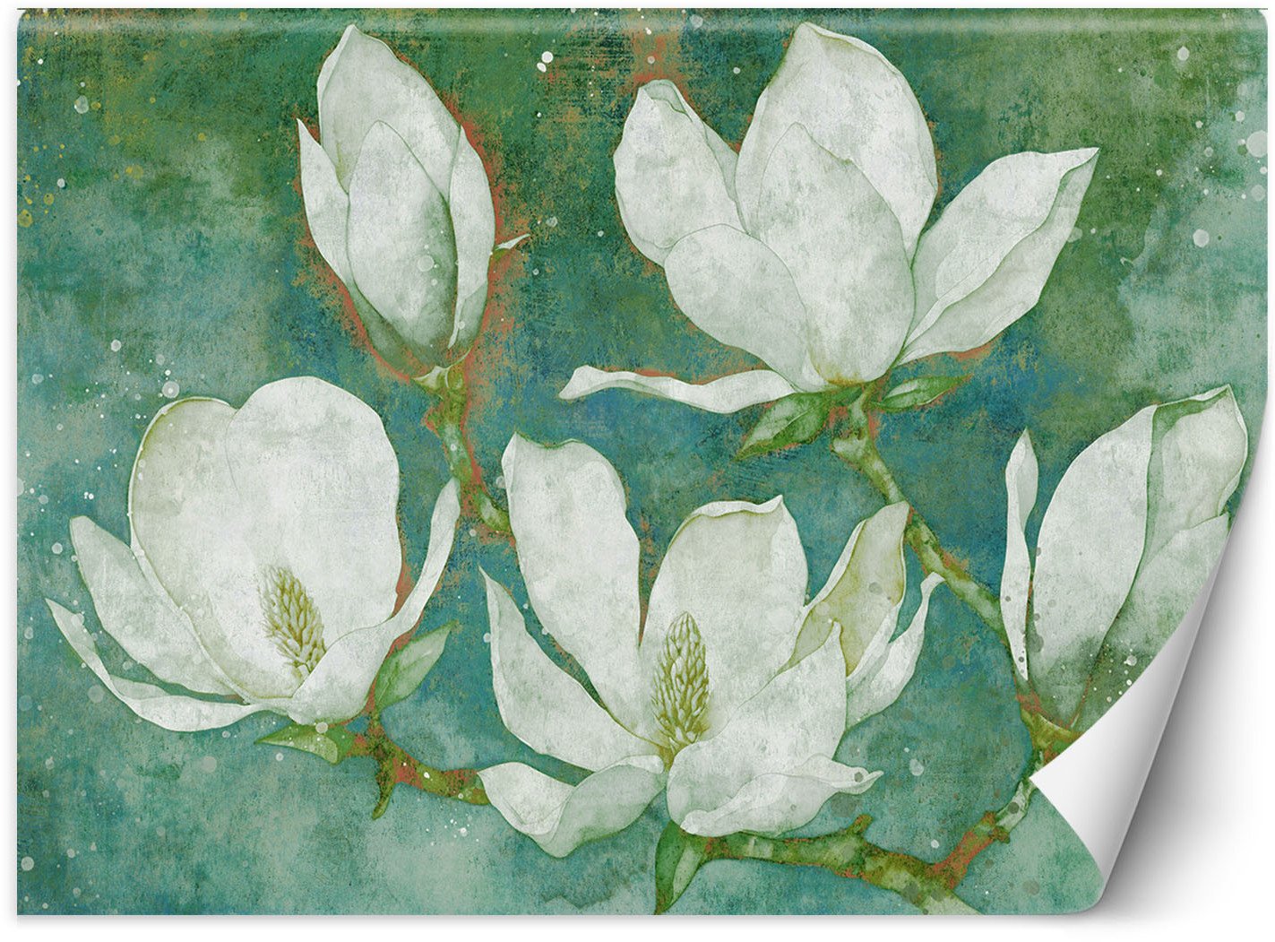 Feeby Fototapeta Kwitnące magnolie abstrakcja 150x105 small