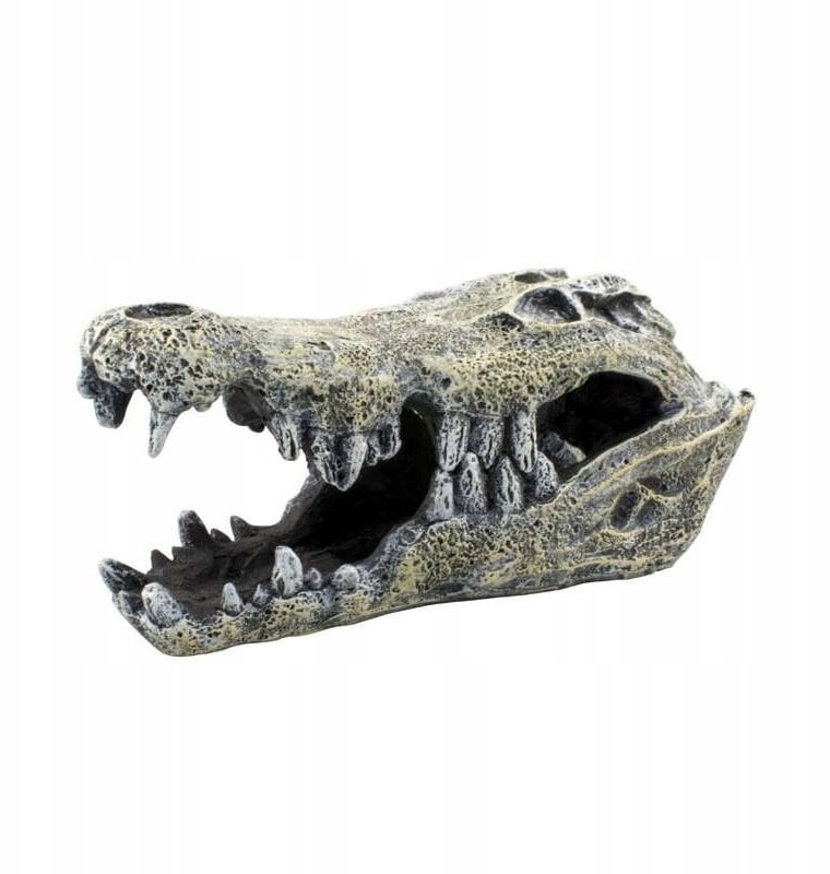Exo Terra Dekoracja terrarystyczna kryjówka w kształcie czaszki krokodyla 14cm