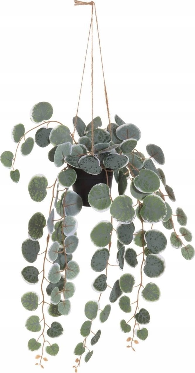Sztuczna roślina wisząca, 40 cm