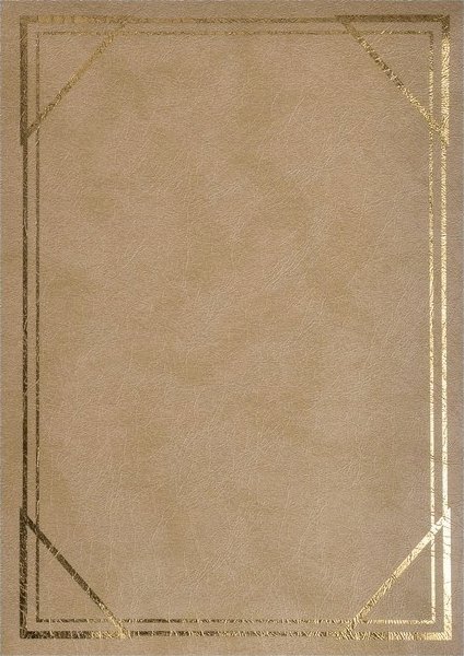 FANDY Fotoalbum kieszeniowy szyty Vinyl