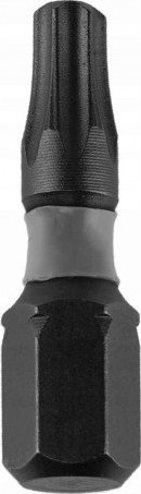 Dedra Końcówki wkrętakowe udarowe Torx T40x25mm, 2szt blister