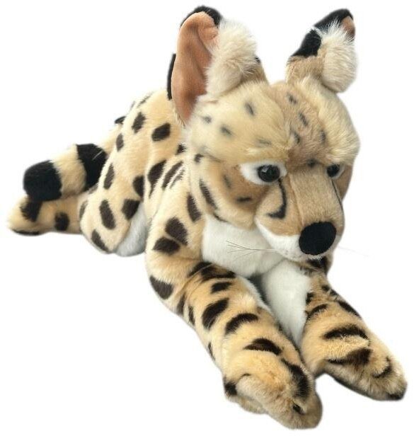 Serwal leżący 45cm