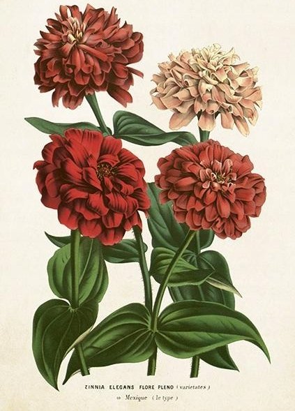 Skona Ting Karnet ST458 B6 + koperta Cynia