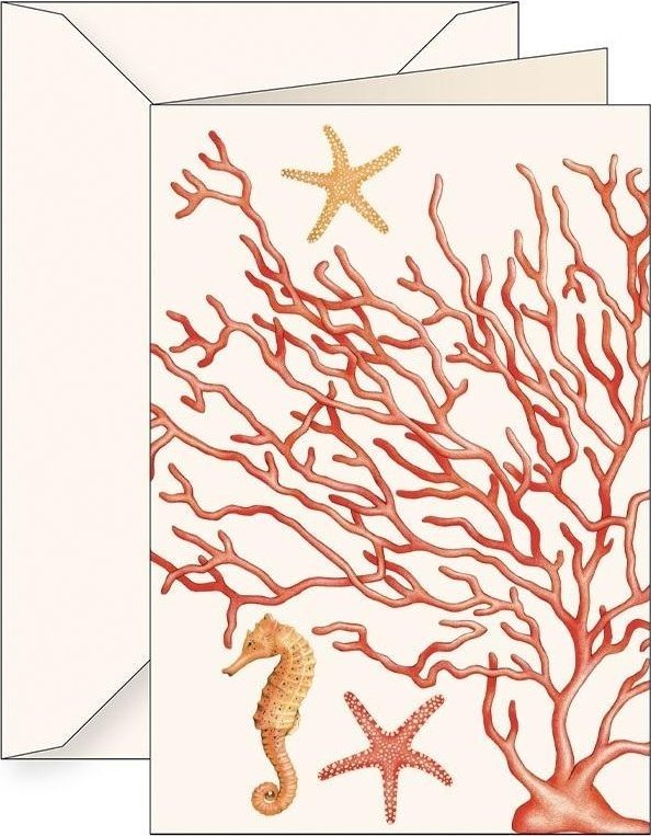 Karnet B6 + koperta 5772 Koralowce