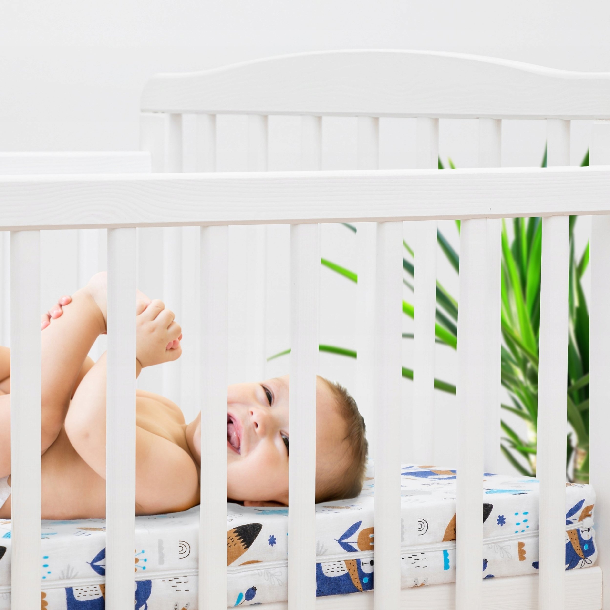 R2 MATERAC STANDARD KIDS MIŚ I LIS