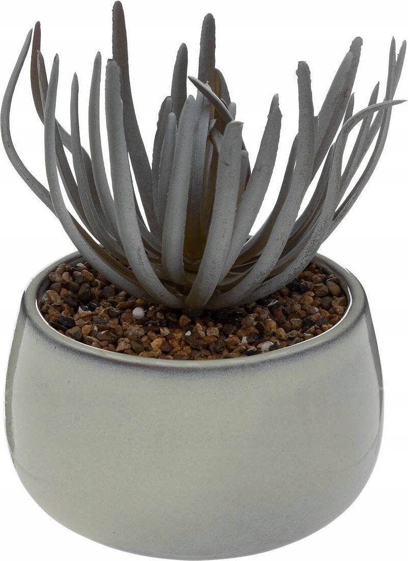 Atmosphera Sztuczny sukulent w doniczce CAF, wys. 18 cm