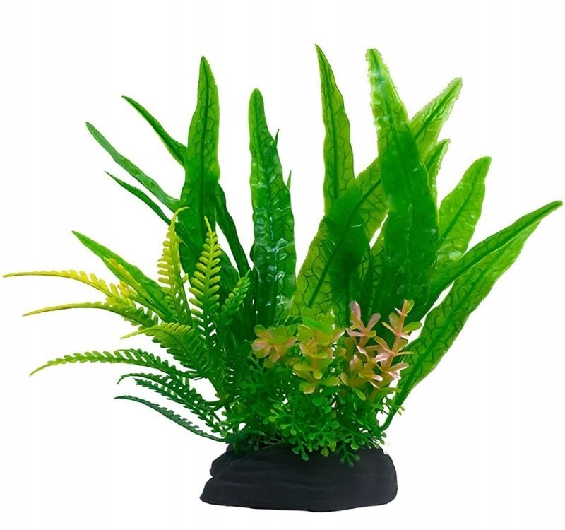 Terra Natura Aqua Natura, roślina, do dekoracji akwarium, zielona, plastikowa, 18 cm, paproć i wodorost leśny