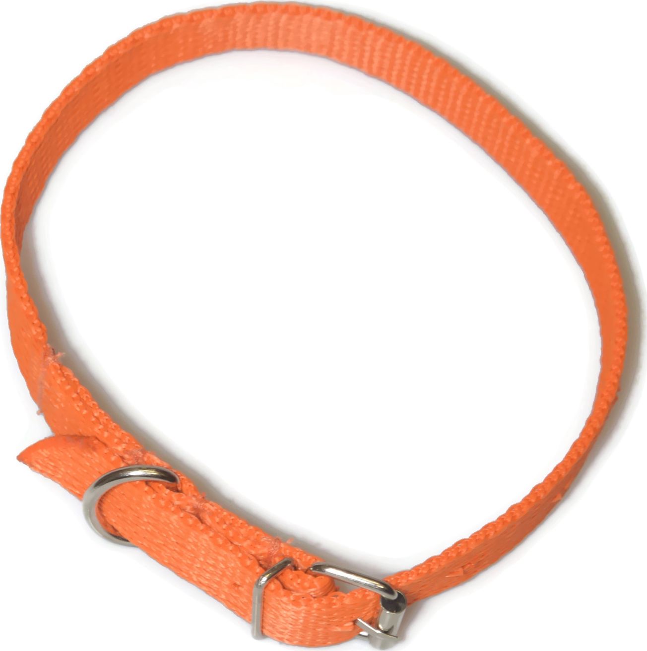 Alizoo Obroża dla średniego psa 16mm/30-41cm z metalową klamerką - ALIZOO