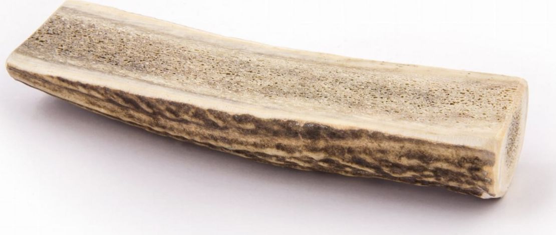 4DOGS GRYZAK M (EASY)