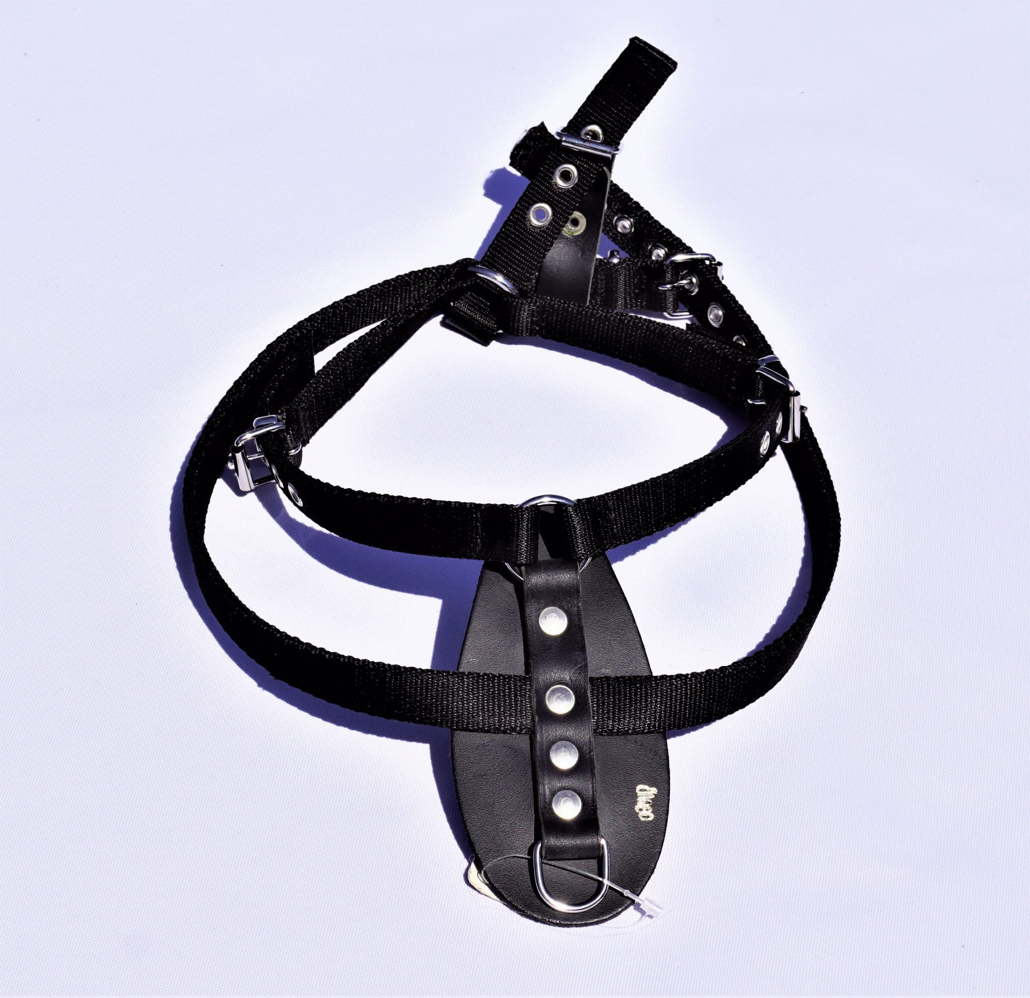 Dingo Szelki Z Taśmy Do Tropienia Nr 1