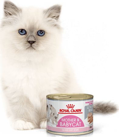 Royal Canin ROYAL CANIN Babycat Instinctive Feline - 12 x 195g puszka