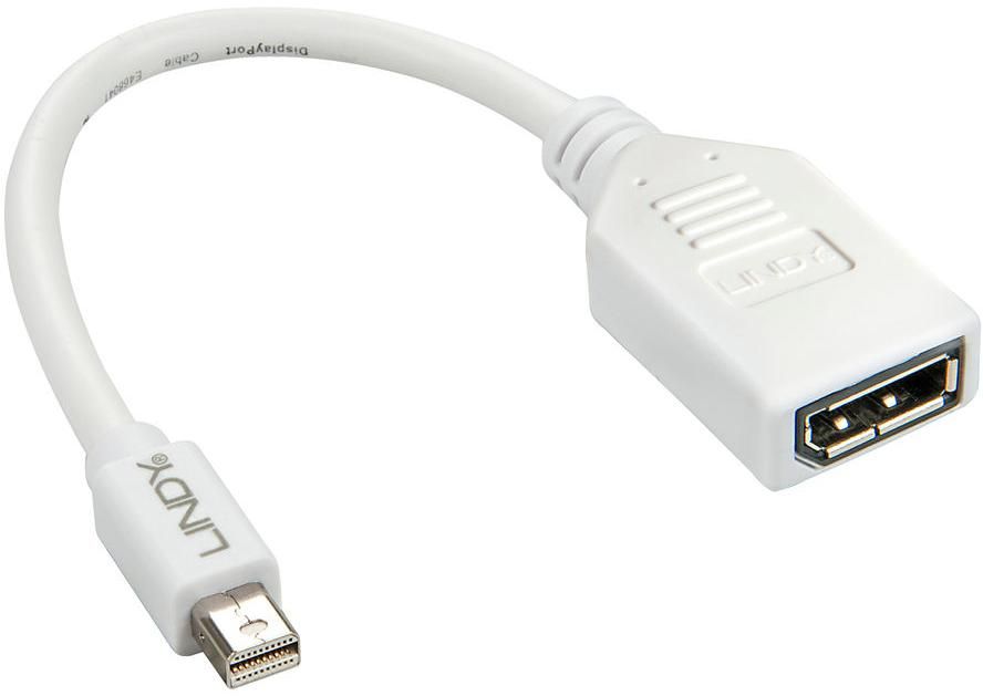 Adapter AV Lindy DisplayPort Mini - DisplayPort biały (41021)