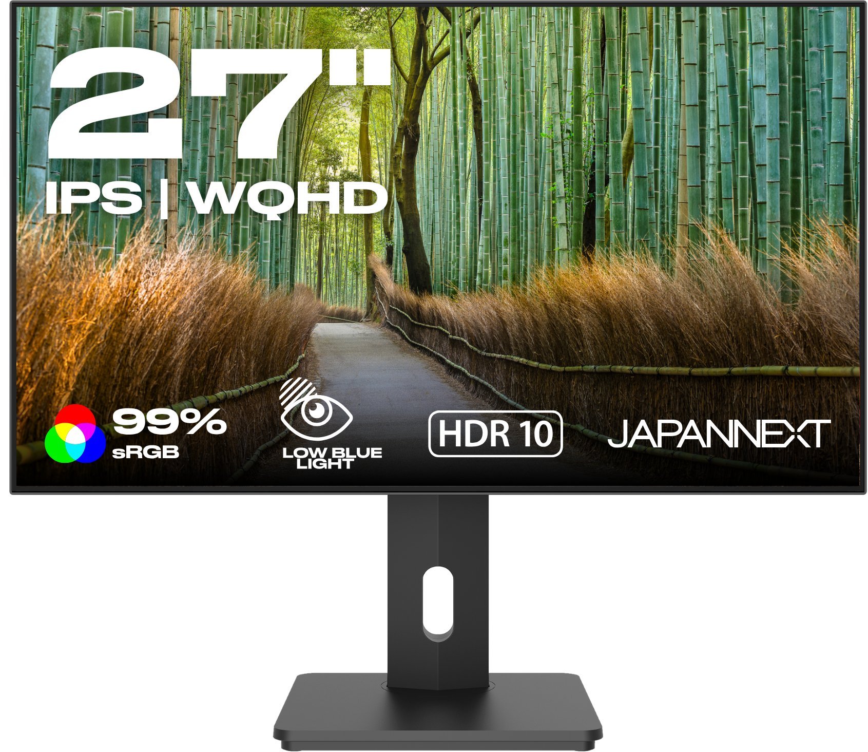 JAPANNEXT 68,5cm JN-27IPS4FLWQHDR-HSP 16:9 HDMI/DP WQHD
