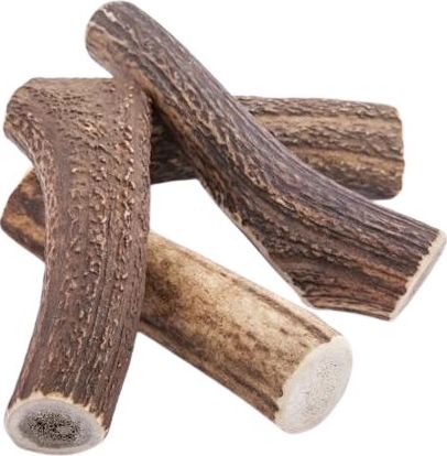 4DOGS GRYZAK XL (HARD)