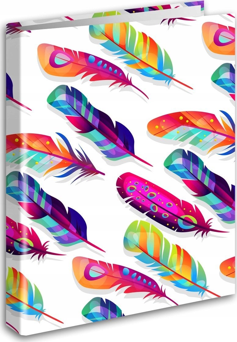 Segregator Tadeo Trading Segregator A4/2 piórka PENMATE