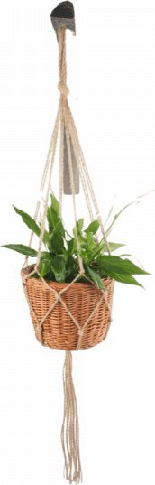 Wnuk Kwietnik wiszący (Pełny/26cm)