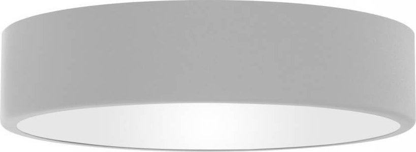 Lampa sufitowa TEAM Metalowa lampa natynkowa 137623620422 szara łazienkowa