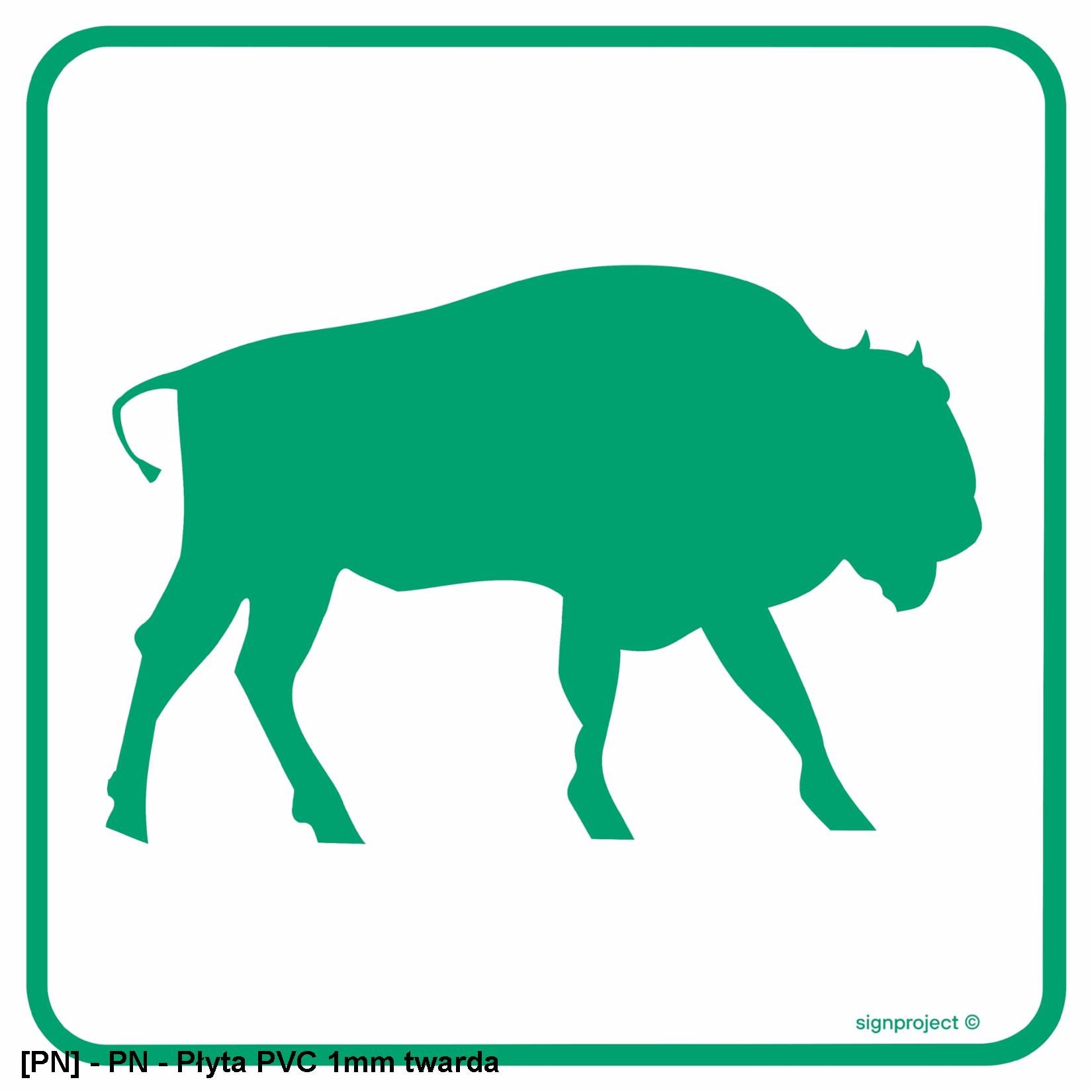 OD018 - Żubry 500x500