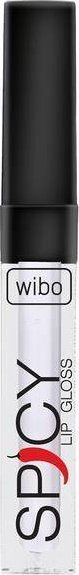 Wibo Wibo Spicy Lip Gloss błyszczyk do ust 21 3ml