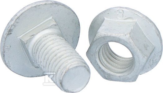 Baks Śruba z łbem grzybkowym + nakrętka ząbkowana komplet SGKFM10x20PV, do konstrukcji fotowoltaicznych