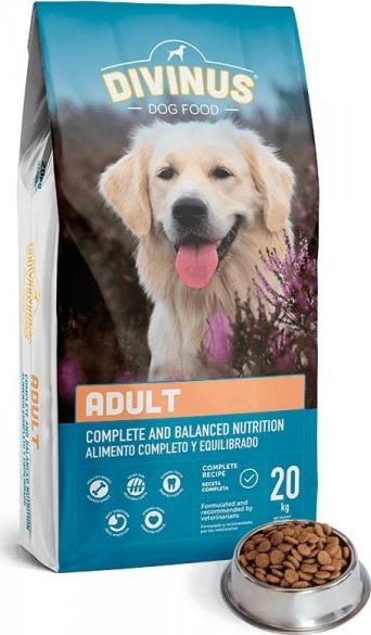 Divinus Divinus Adult dla psów dorosłych 20kg