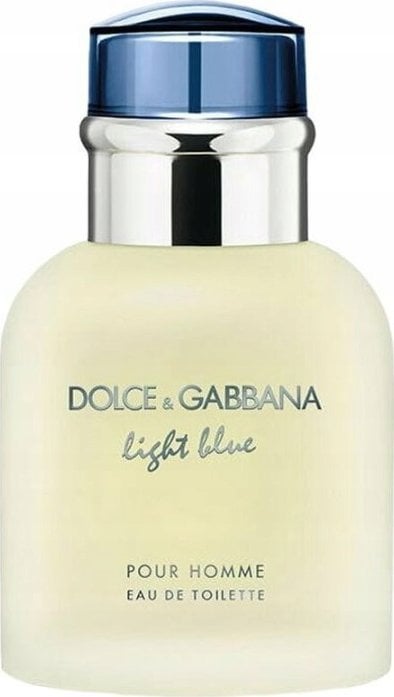 Alkotest DOLCE&GABBANA Light Blue Pour Homme EDT spray 40ml