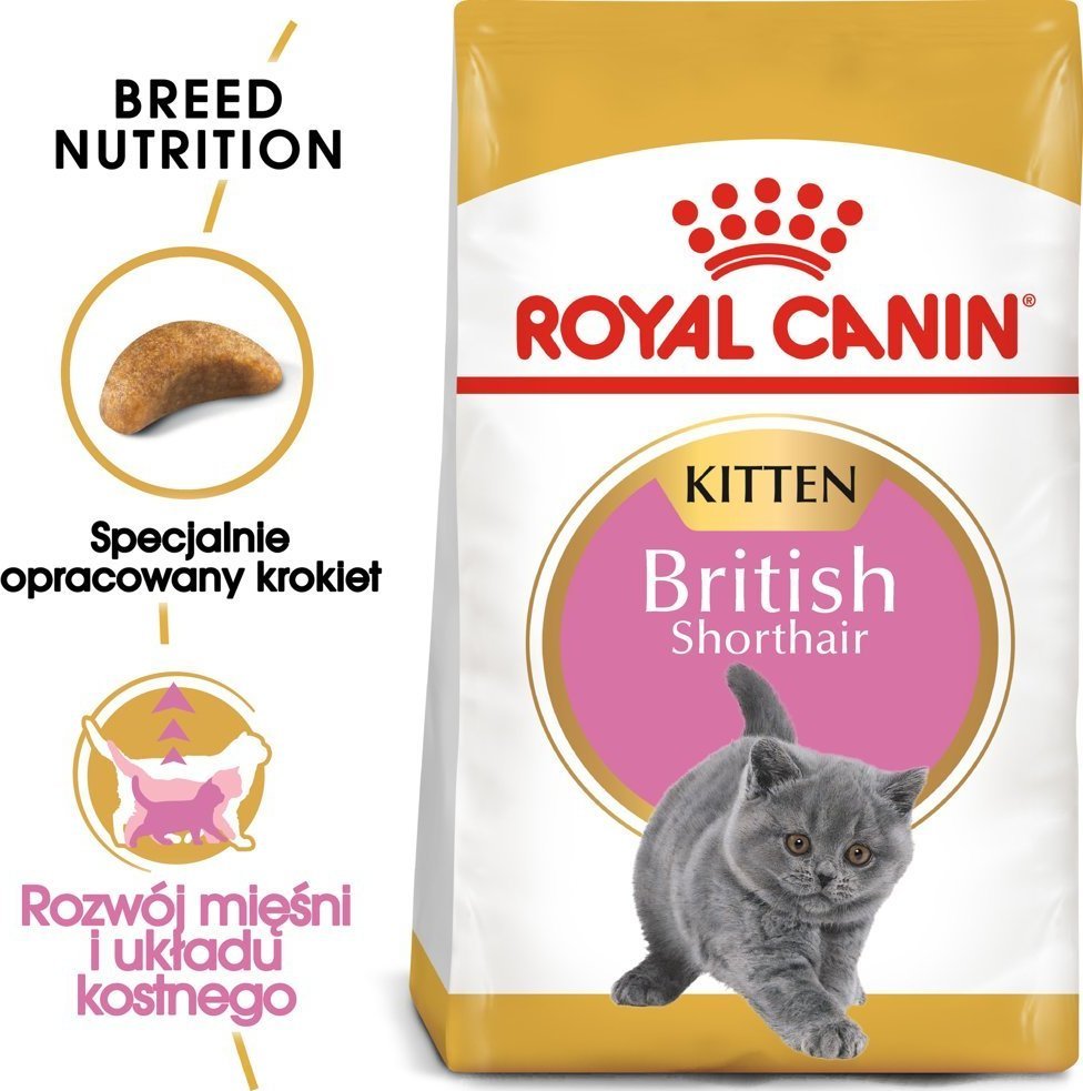 Royal Canin British Shorthair 2kg + gratis