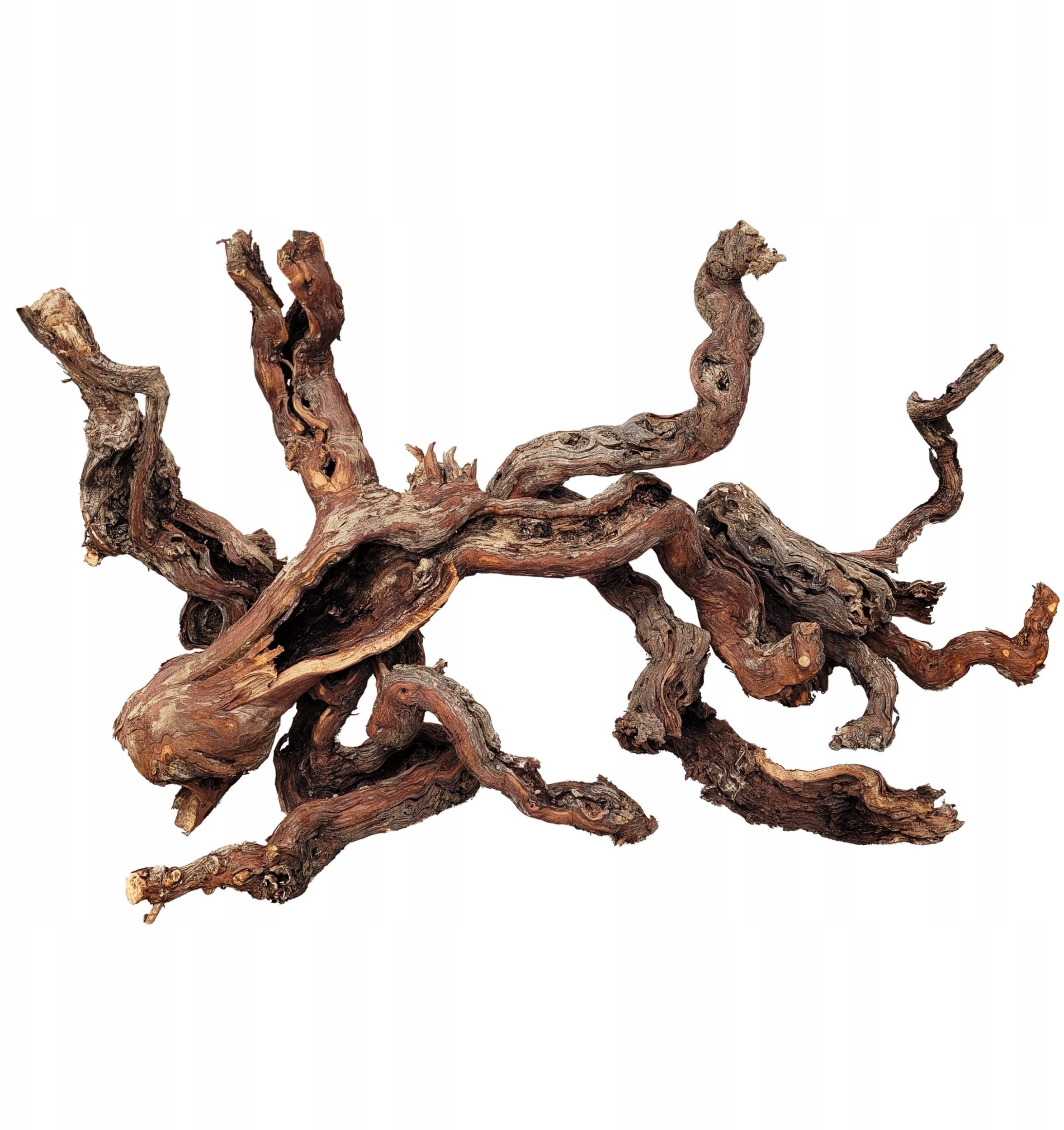 Terra Natura WIO Centurion Wood, dekoracyjne drewno, do akwarium i terrarium, 20-30 cm | ± 5 cm