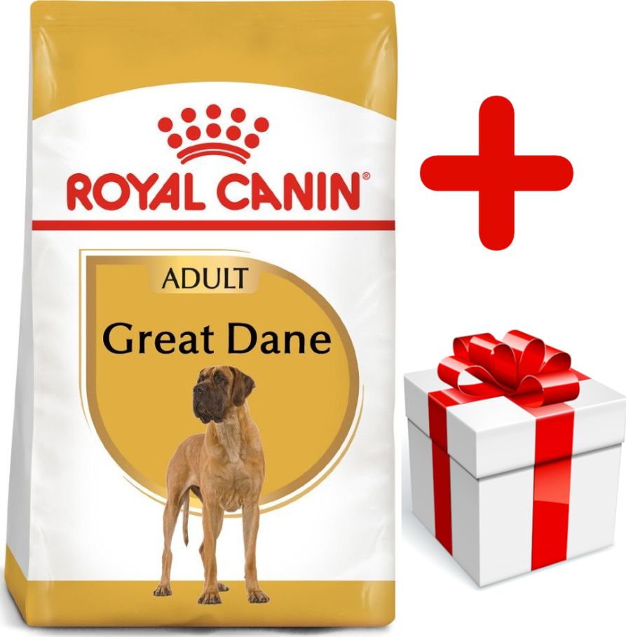 Royal Canin ROYAL CANIN Great Dane Adult 12kg karma sucha dla psów dorosłych rasy dog niemiecki + niespodzianka dla psa GRATIS!