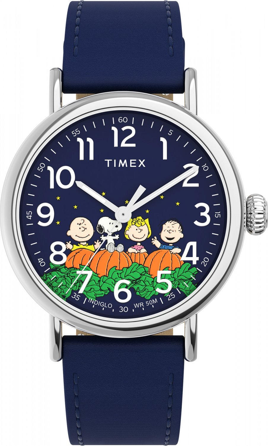 Zegarek męski Timex TW2W72700 niebieski