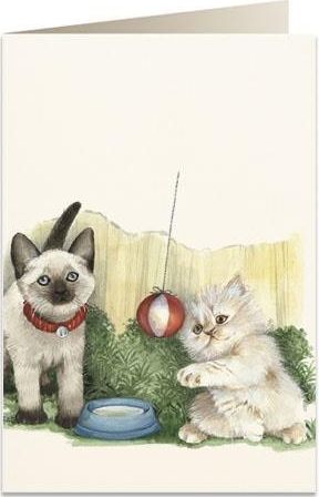 Tassotti Karnet B6 + koperta 7525 Białe kotki