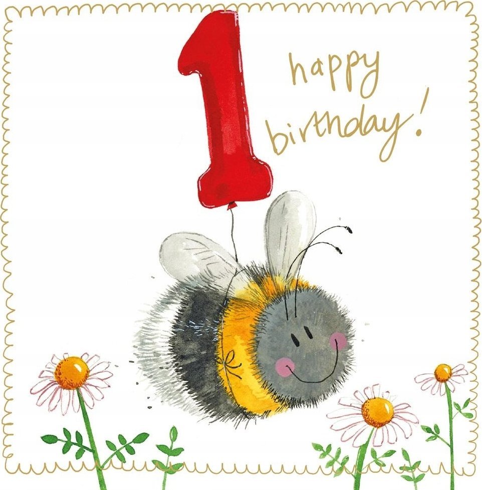 Teka Karnet Urodziny 1 Roczek S536 Pszczółka