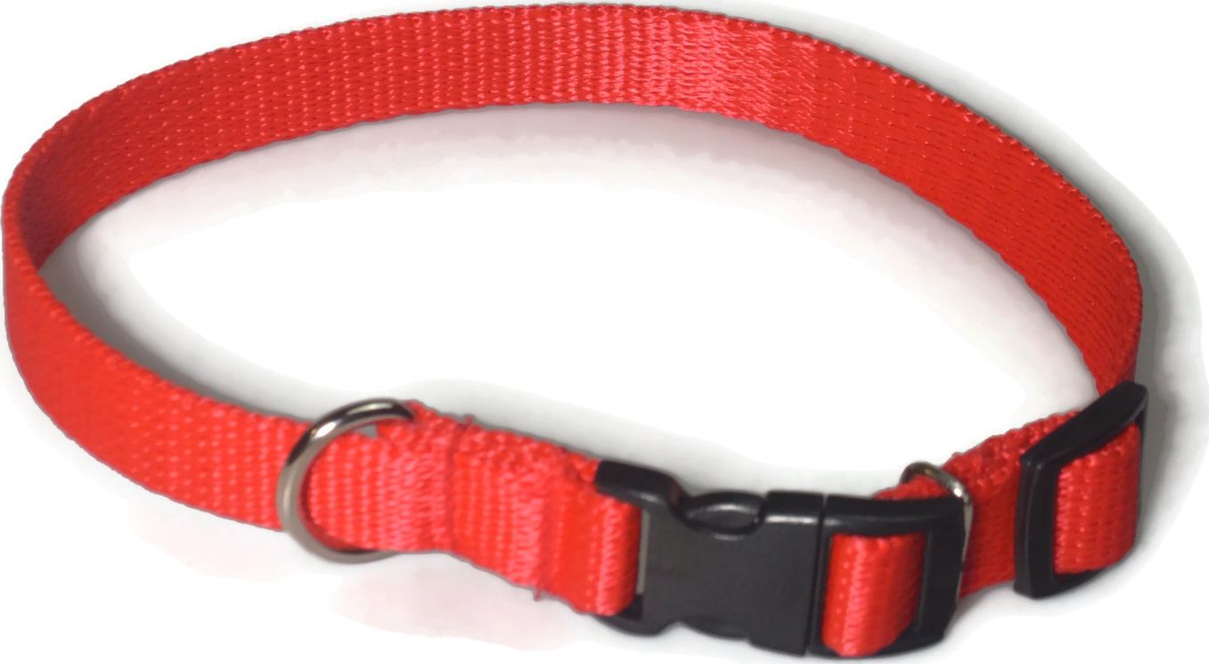 Alizoo Obroża dla średniego psa 16mm/24-42cm - ALIZOO