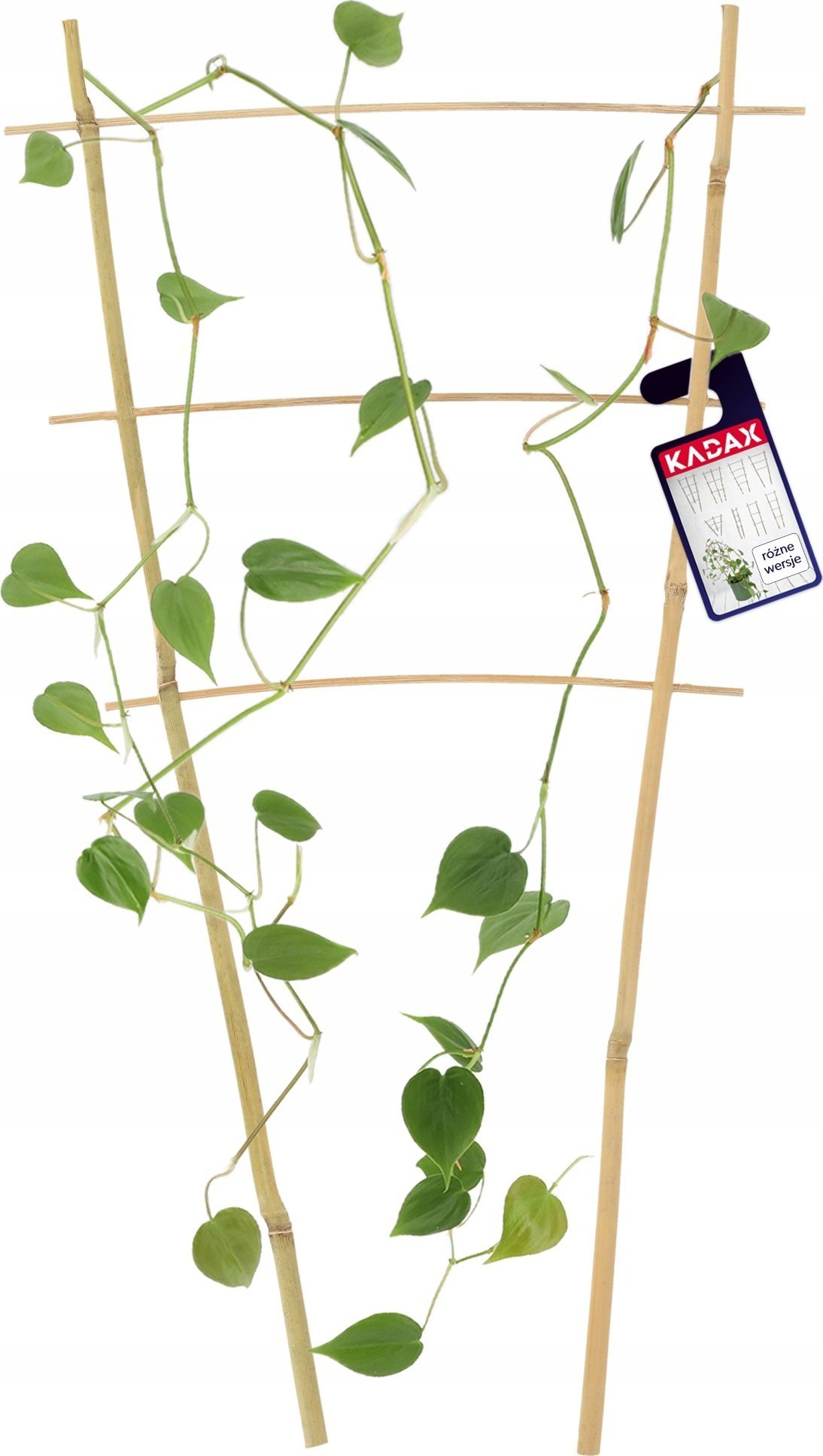 Kadax Drabinka Bambusowa Podpora Pnączy Podwójna 45cm