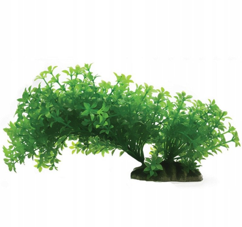 Aqua Natura, ro�lina, do dekoracji akwarium, zielona, plastikowa, 23 cm , rozlegla ro�lina na w�skiej podstawce