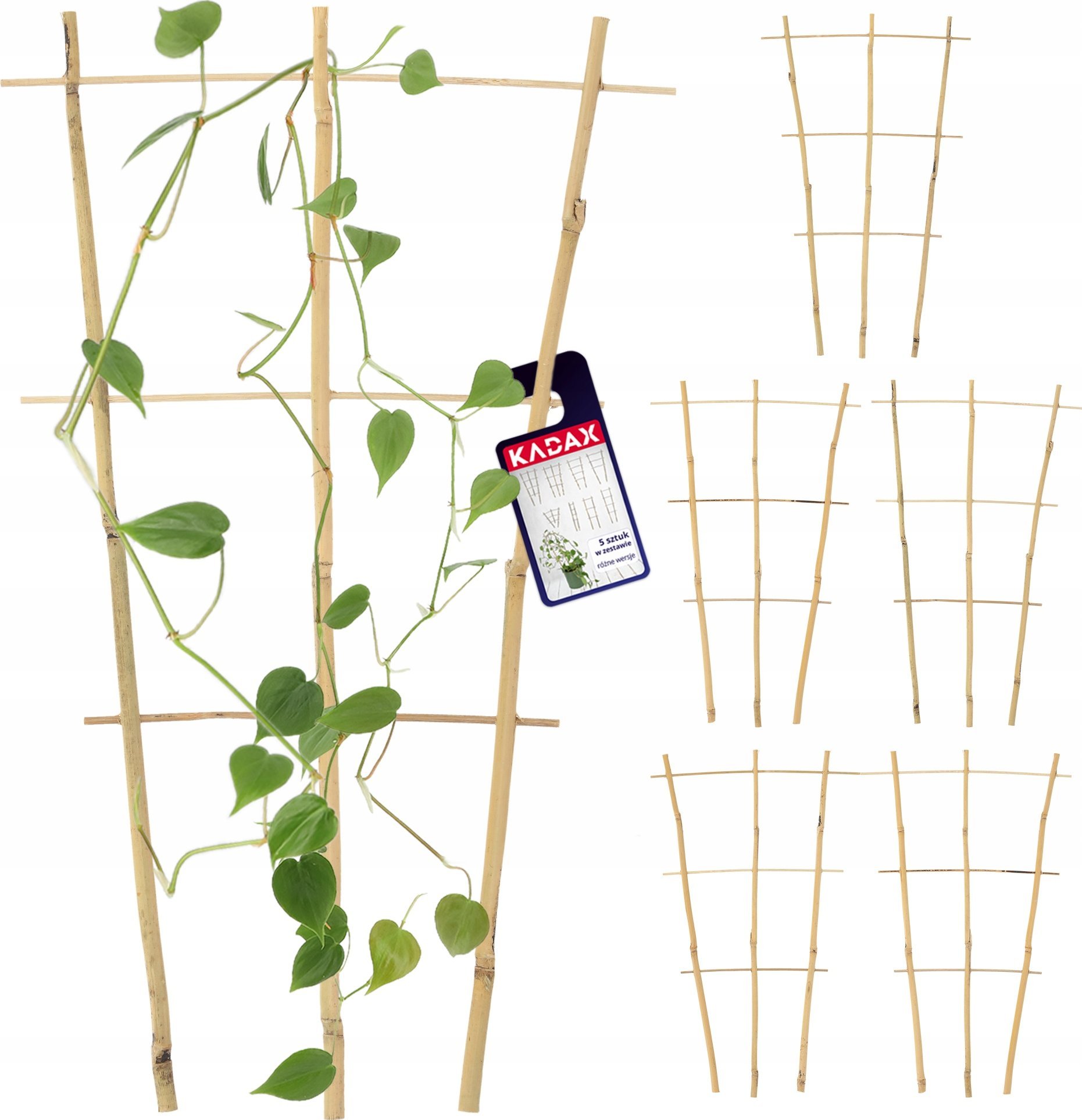 Kadax KADAX Drabinka Bambusowa Pergola Podpora 46 cm 5 szt