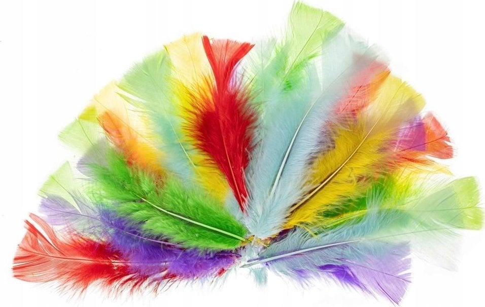 FANDY Piórka indycze 10-15cm pastelowe