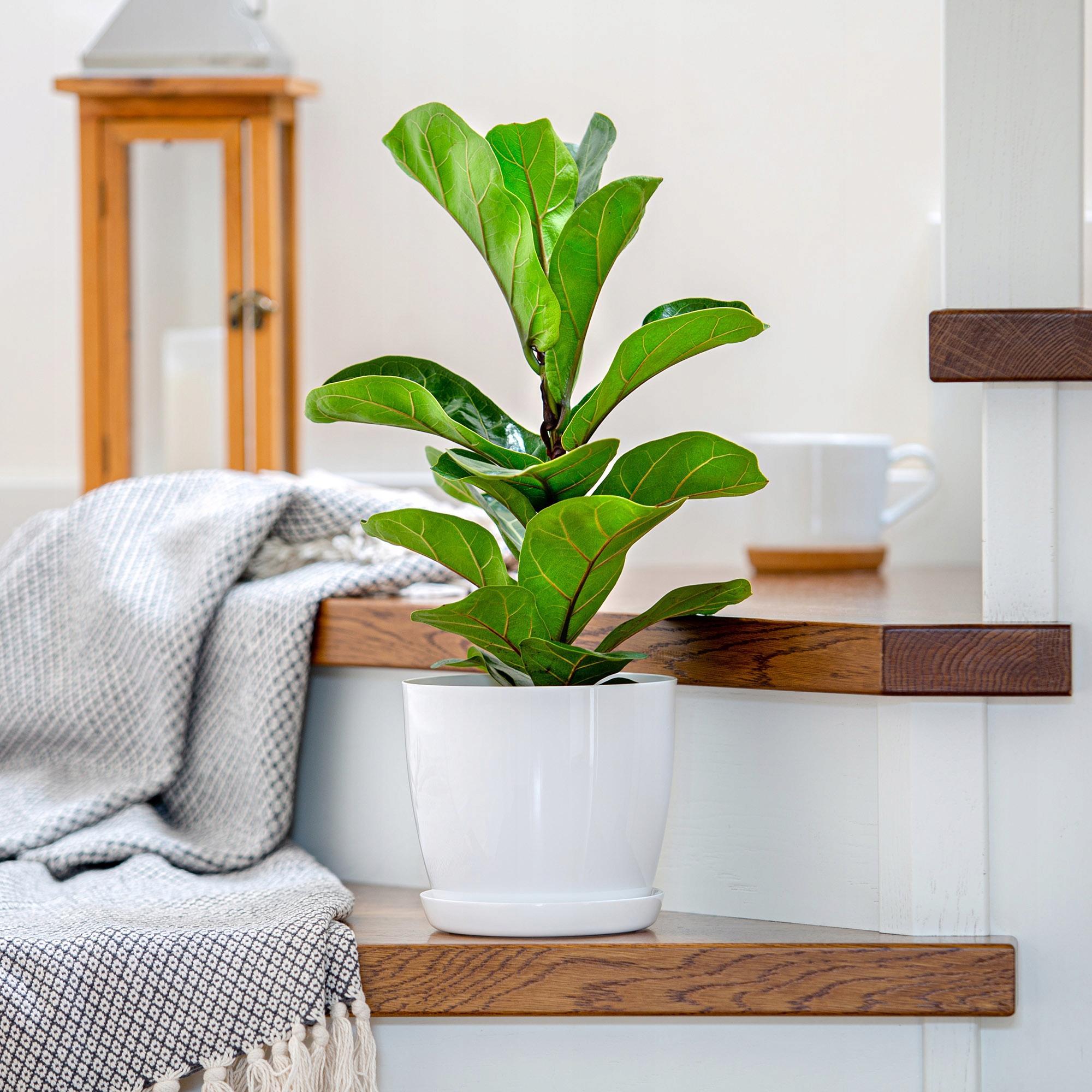 Kadax DONICZKA Z PODSTAWKĄ DONICA OSŁONKA 23cm BIAŁA