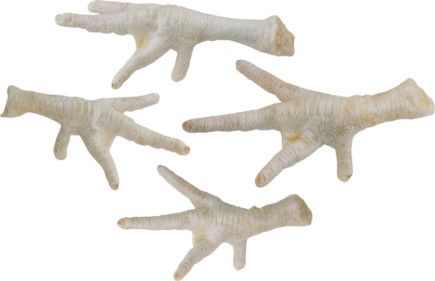 Arami ŁAPKI KURZE BIAŁE (ok. 105szt) 1500g