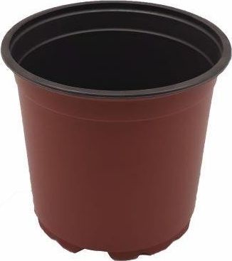 Tajemniczy ogród Doniczka produkcj. 15 cm uniwersalny