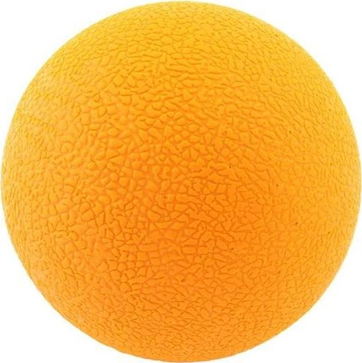 Apte Piłka do masażu po treningu Roller (FT40B)