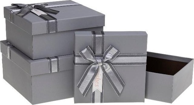 Rozette Pudełko prezentowe z kokardą 3szt srebrny
