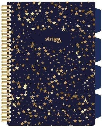 Kołozeszyt Pads B5/100K kratka Gwiazdy