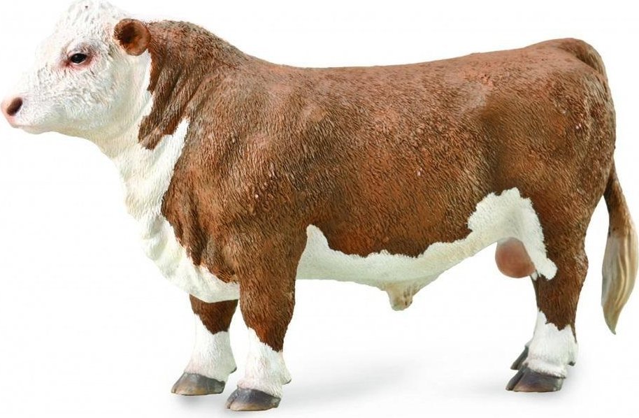 Figurka Collecta HEREFORD BULL (POLLED)