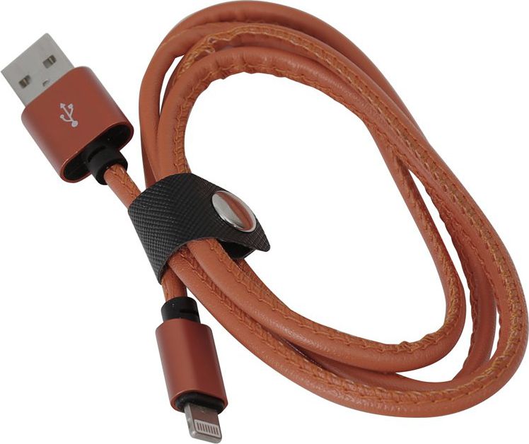Kabel USB Platinet USB-A - 1 m Brązowy (PUCLIP1BR)